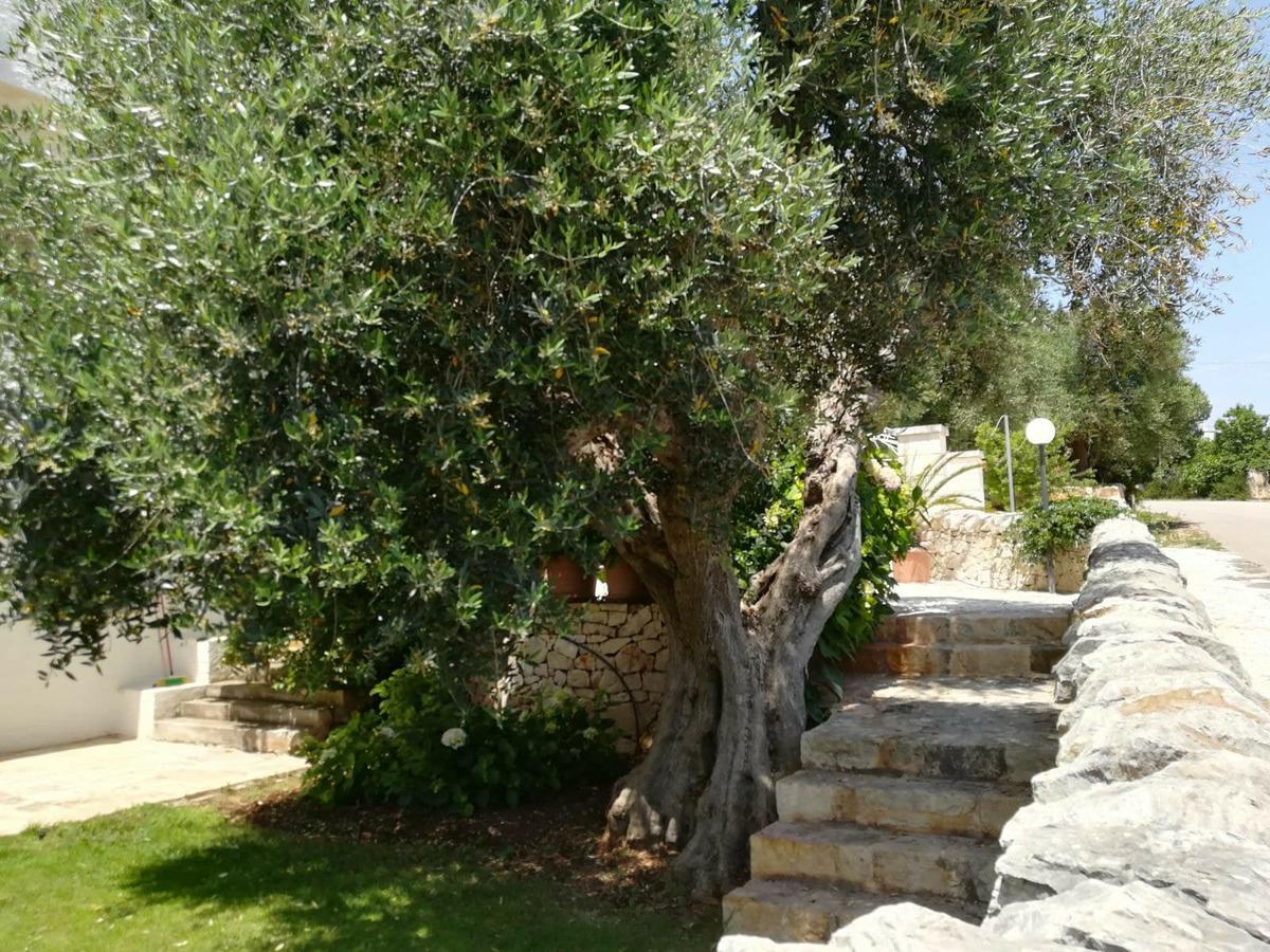 Aparthotel Residenza Aurora Ostuni Esterno foto